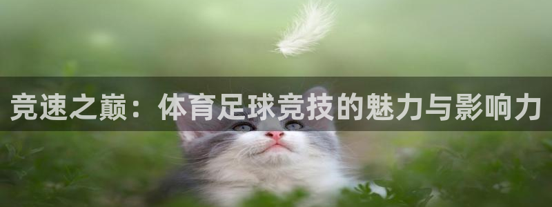 小九体育直播免费观看：竞速之巅：体育足球竞技的魅力与影响力