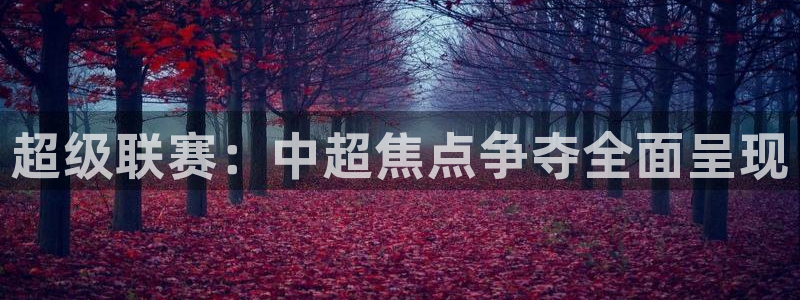 小九今天最新视频：超级联赛：中超焦点争夺全面呈现