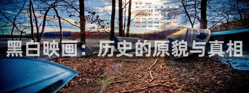 小九直播nba免费观看下载：黑白映画：历史的原貌与真相