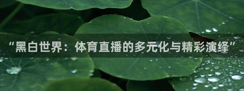 小九nba免费观看：“黑白世界：体育直播的多元化与精彩演绎”