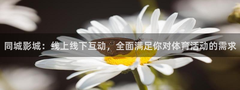 小九直播nba：同城影城：线上线下互动，全面满足你对体育活动的需求