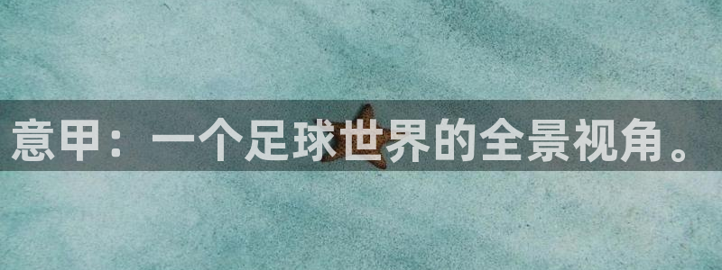 小九直播体育免费观看：意甲：一个足球世界的全景视角。