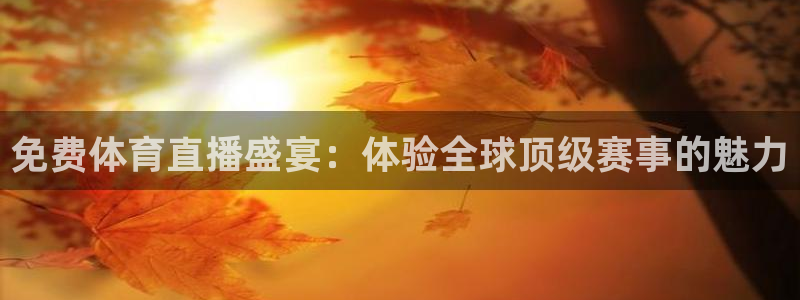 小九体育直播在线观看免费高清：免费体育直播盛宴：体验全球顶级赛事的魅力