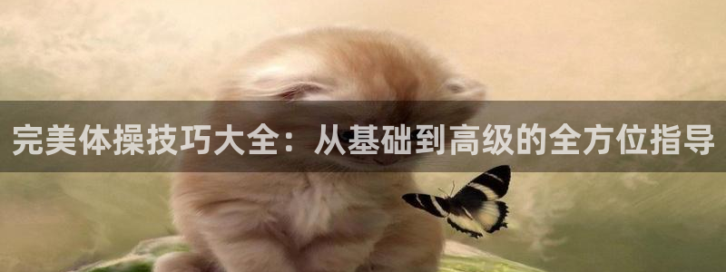 小九nba直播在线观看：完美体操技巧大全：从基础到高级的全方位指导
