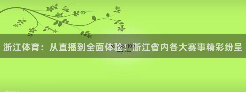 小九体育直播免费观看：浙江体育：从直播到全面体验！浙江省内各大赛事精彩纷呈