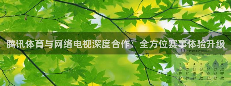 足球直播小九：腾讯体育与网络电视深度合作：全方位赛事体验升级