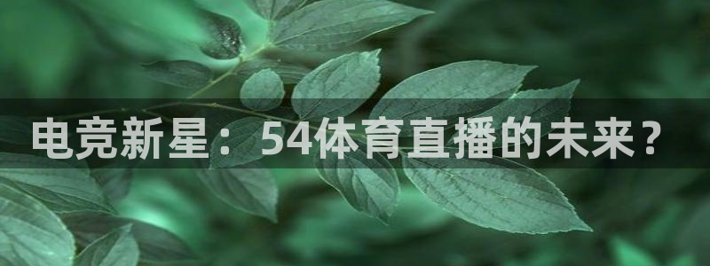 小九的视频：电竞新星：54体育直播的未来？