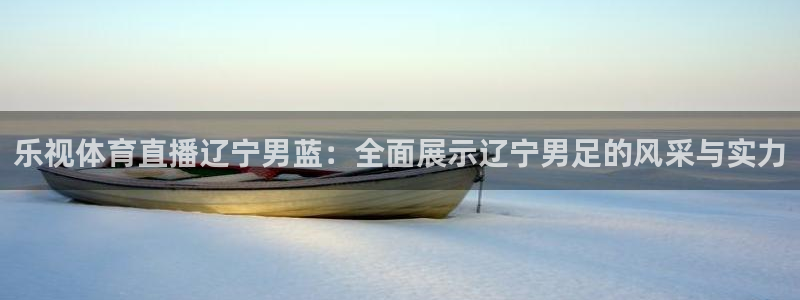 小九直播：乐视体育直播辽宁男蓝：全面展示辽宁男足的风采与实力