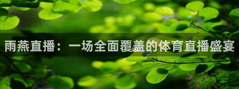 小九直播网站：雨燕直播：一场全面覆盖的体育直播盛宴
