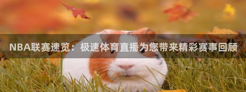 小九直播体育：NBA联赛速览：极速体育直播为您带来精彩赛事回顾