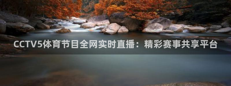 小九体育直播入口：CCTV5体育节目全网实时直播：精彩赛事共享平台