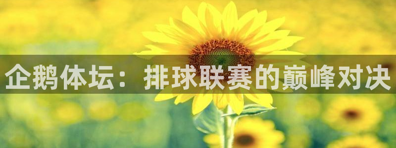 小九直播足球在线直播：企鹅体坛：排球联赛的巅峰对决